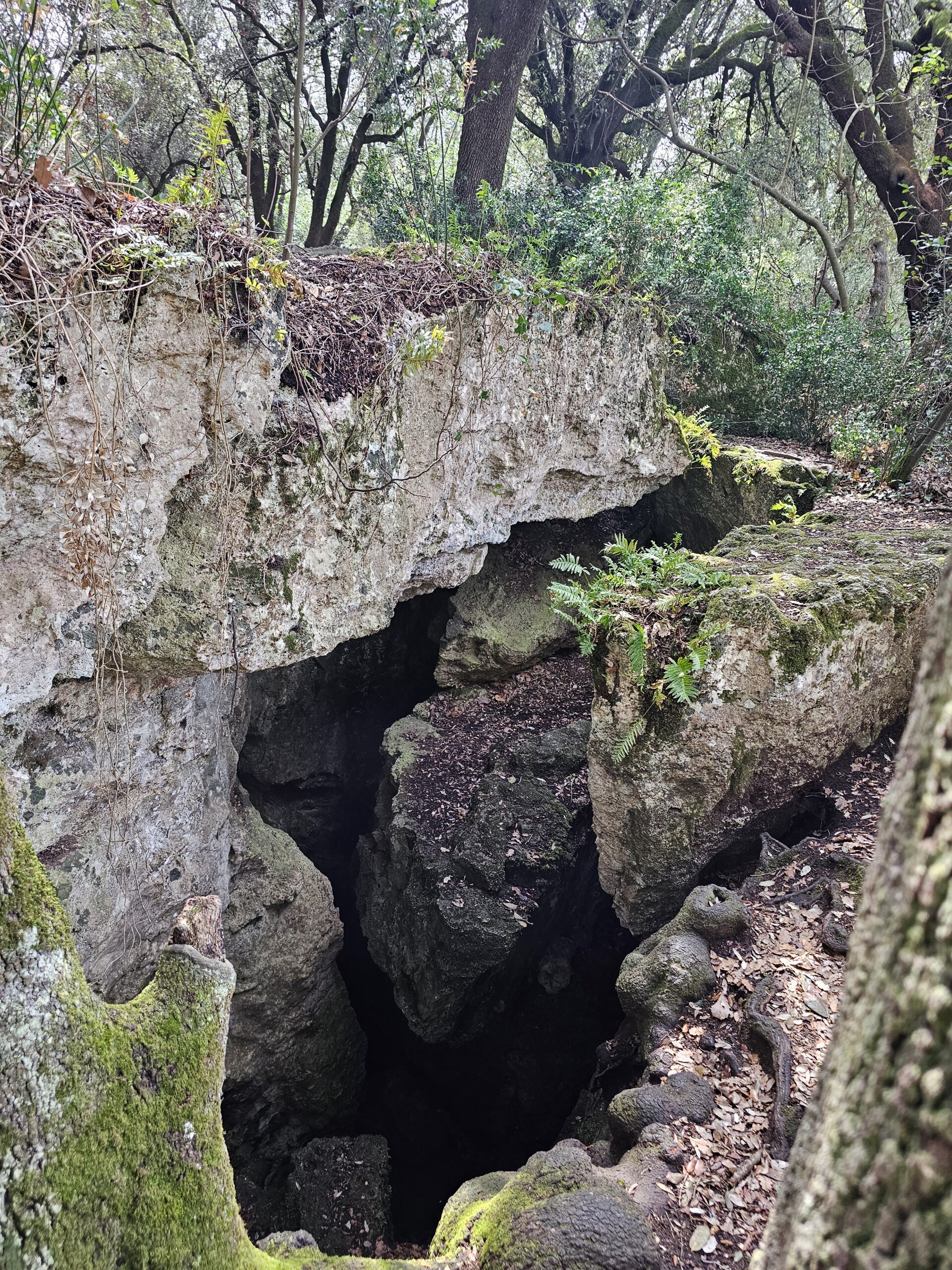Domingo 12 de Abril - Lago de Bañolas - Bosque Mágico de les Estunes - Fácil - 12km y 90m de desnivel - Imagen 7