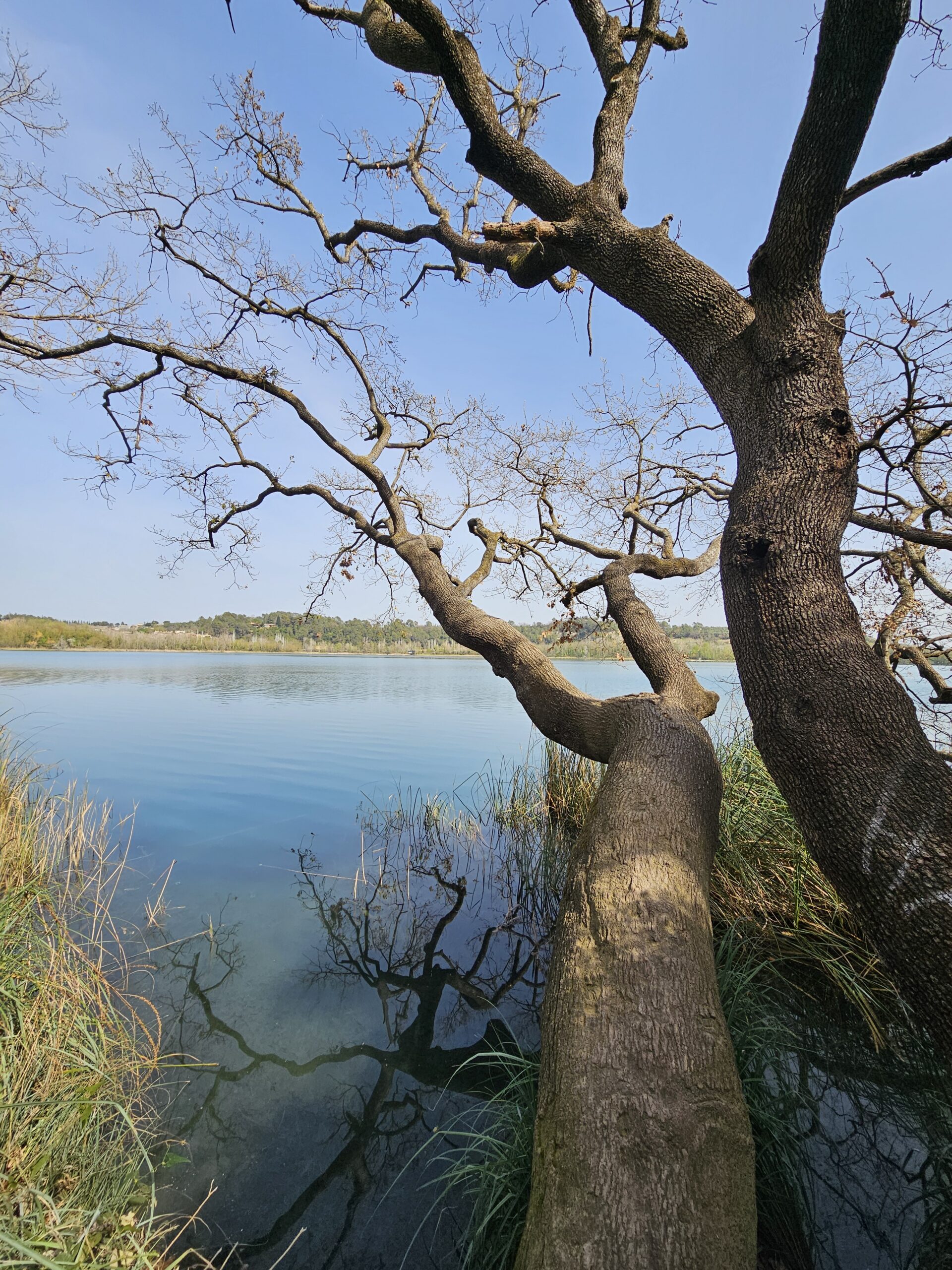 Domingo 12 de Abril - Lago de Bañolas - Bosque Mágico de les Estunes - Fácil - 12km y 90m de desnivel - Imagen 10