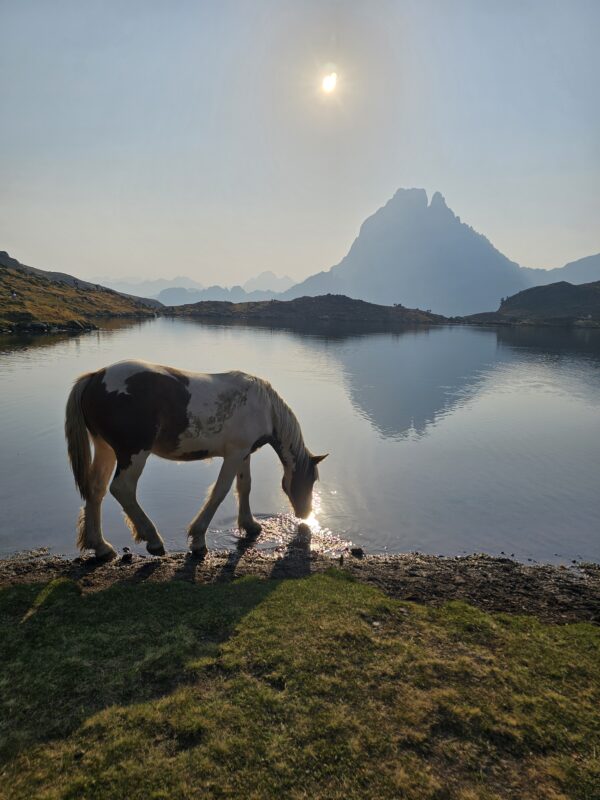 Sábado 13 y Domingo 14 de Septiembre - Acampada libre en los Lacs d'Ayous + Pic d'Ayous - Pirineo Francés - Intermedio - Imagen 8