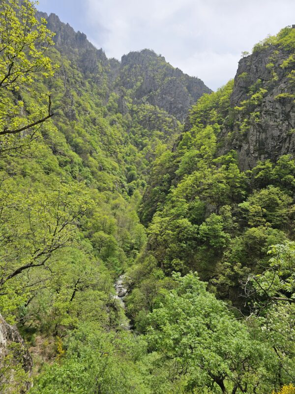 Sábado 1 y Domingo 2 de Noviembre - Pirineo Francés - Acampada libre / Vivac - Gorges de Carança - Termas Naturales - Imagen 19