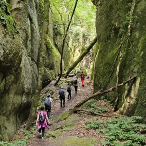 Domingo 15 de Marzo - Bufadors de Beví - Fácil 11km y 530d+